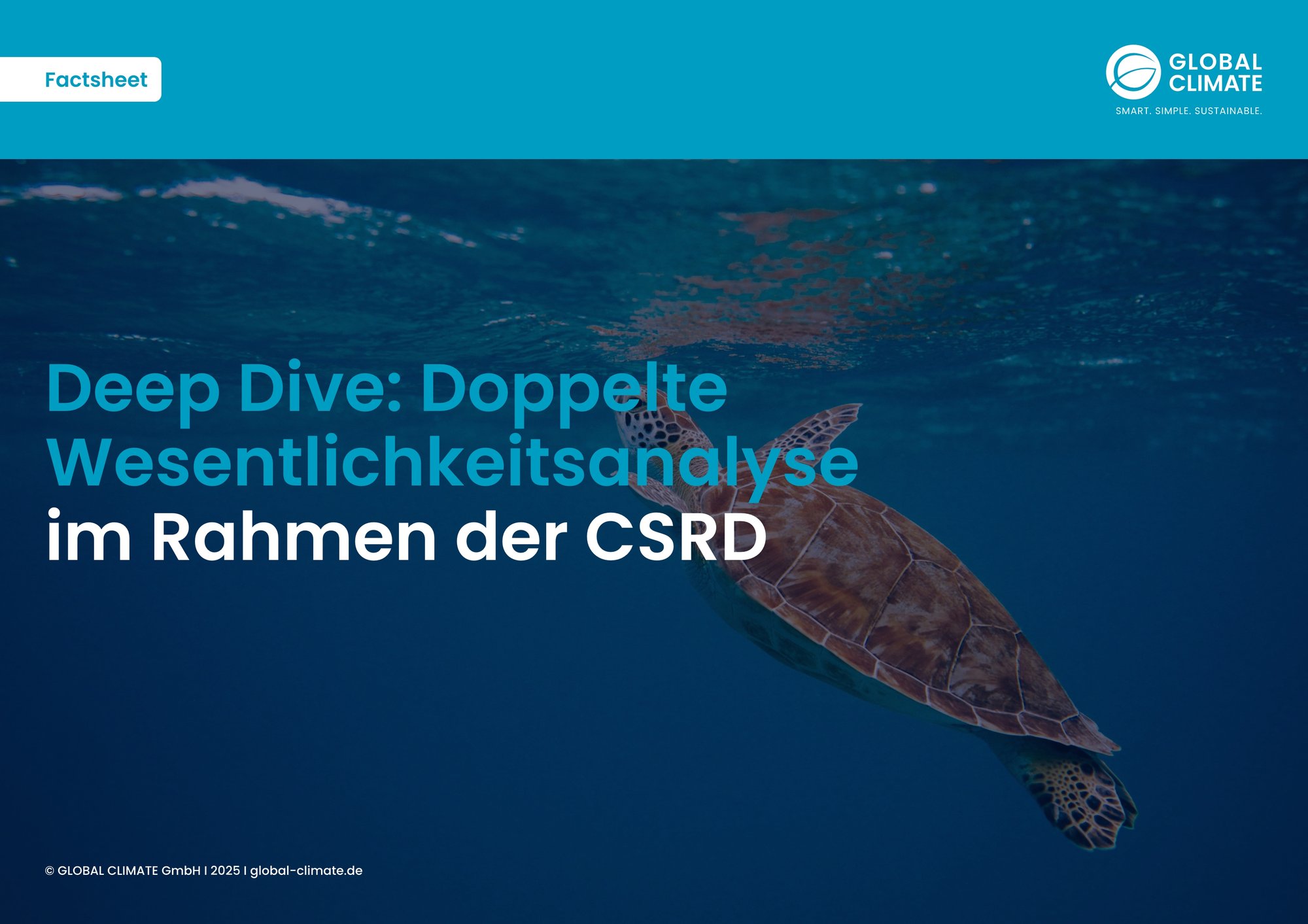 05_Factsheet_Deep Dive_DWS 05_Factsheet_Deep Dive_DWS