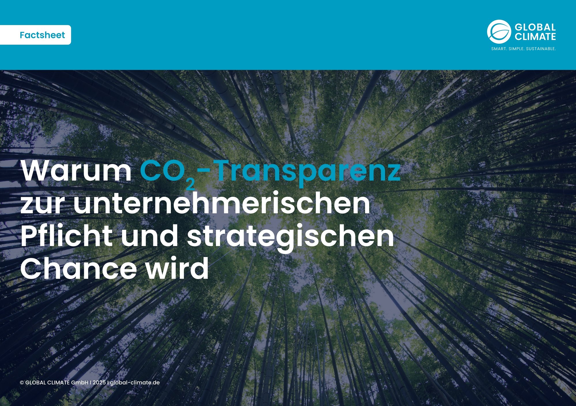 07_Factsheet CO2-Bilanz Überblick