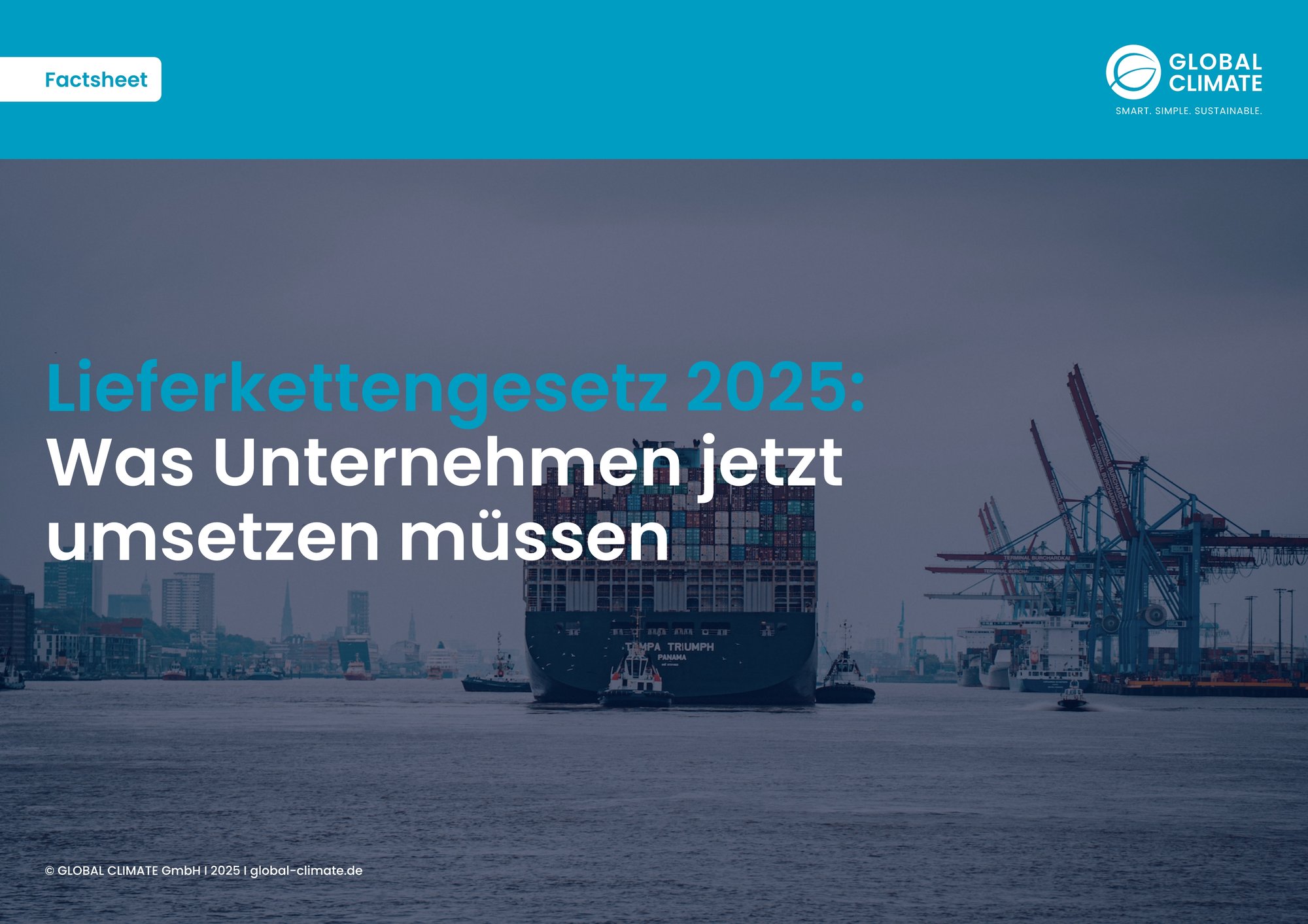 10_Factsheet LkSG_Was Unternehmen jetzt umsetzen müssen
