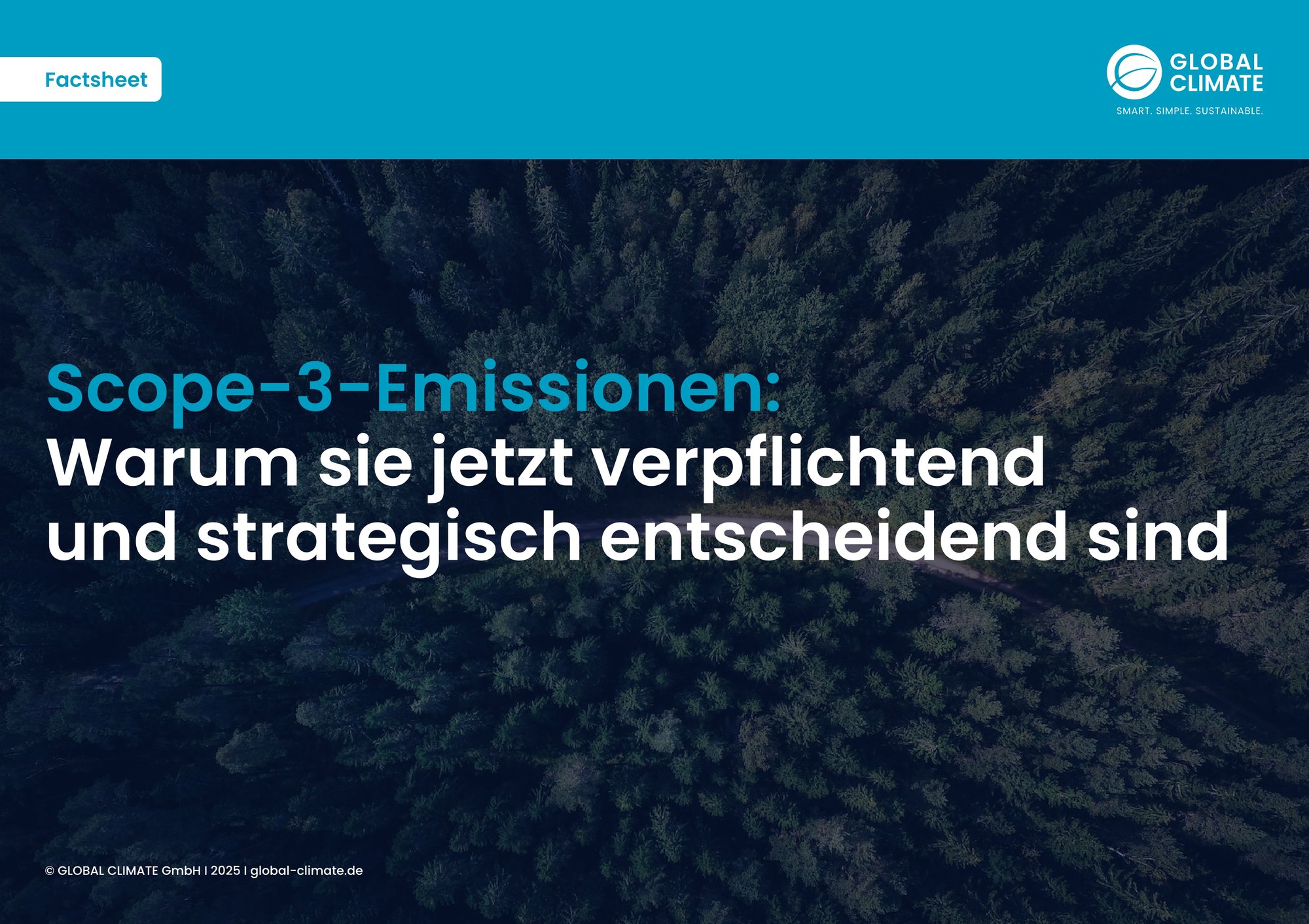 13_Factsheet_Scope 3 Emissionen
